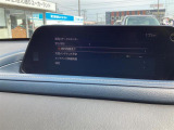 車両ステータスモニターで、車両に異常がある場合確認できます。画面は、燃料が少ないので、警告が出ています。