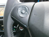手元でオーディオ操作ができ、運転中も視線をそらさずに扱える便利な装備です