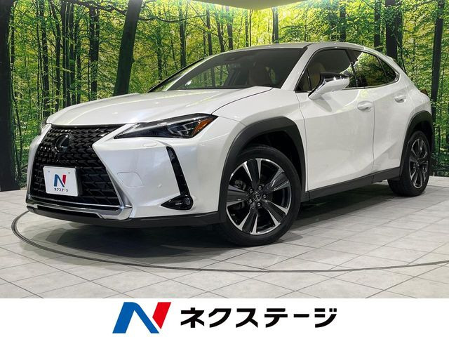 UX 250h バージョンL 