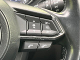 【クルーズコントロール】高速道路もラクラク走行。アクセルを離しても一定速度で走行ができ、長距離運転時の負担を軽減!加速・減速も簡単なスイッチ操作で調整できます。