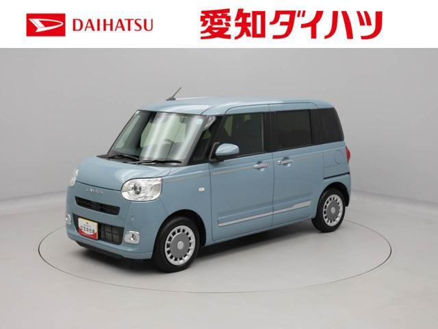 ムーヴキャンバス セオリー G