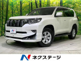 ルーフレール ナビ機能付純正9型ディスプレイオーディオ 全周囲カメラ