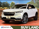 グロッシーカッパー・メタリックガーニッシュ 純正9インチナビ