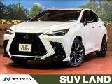 純正14インチディスプレイオーディオ 全周囲カメラ 100V電源