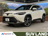 パノラマルーフ メーカー10型ナビ 全周囲カメラ ブラインドスポットモニ
