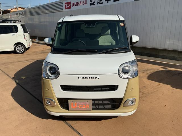 ムーヴキャンバス  ストライプス G
