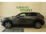 CX-30 2.0 20S 