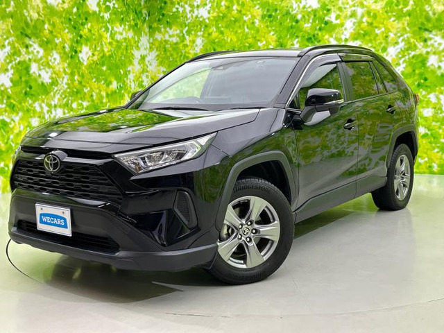 RAV42.0 X