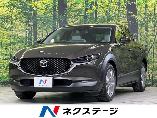 CX-30 2.0 20S Lパッケージ 