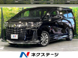 モデリスタエアロ 9型ナビ 後席モニター 両側電動ドア 電動リアゲート