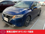 降ひょうの被害を受けボディ等凹みました、それを修理した車両です