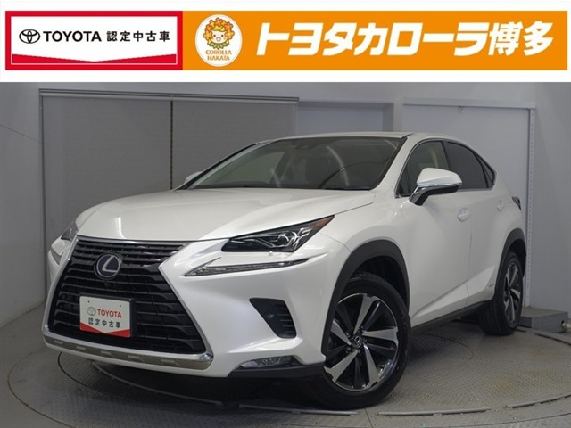 NX 300h バージョンL
