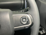 全車速追従機能付ACC(アダプティブクルーズコントロール)付
