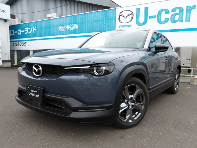 MX-30 2.0 4WD 