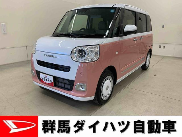 ムーヴキャンバス  ストライプス G