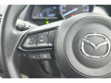 ステアリングスイッチ付き。前方から目を離すことなく操作することが可能です。