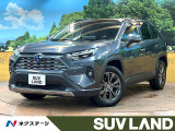 パノラマルーフ 10型ディスプレイ 全周囲カメラ デジタルインナーミラー