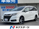 4WD 両側電動ドア バックカメラ レーダークルーズ パワーシート