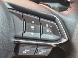 ステアリングスイッチで、先行車に自動追従するアダプティブクルーズコントロールが作動可能。設定した車速内での車間距離を自動で調整・維持。高速道路の渋滞時もアクセル・ブレーキ操作から解放されます。