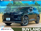 12型ディスプレイ 全周囲カメラ チームメイト レーダークルーズ ETC