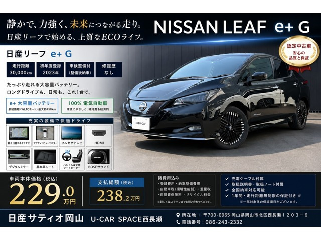リーフ e+ G 