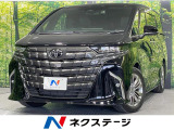 ガラスルーフ 両側電動スライドドア 14インチディスプレイ 後席モニター