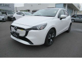 グッドコンディションでお届け!車検/点検を実施し、安心してカーライフをお過ごしいただけるようお渡しいたします。