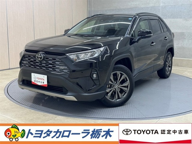 RAV4 2.0 G 4WD