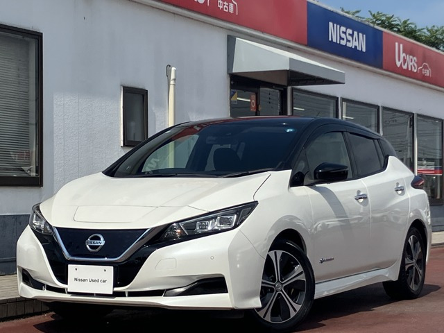 リーフ X 10万台記念車