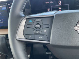 今話題のプロパイロット付きです!高速道路などでその実力は大いに発揮するでしょう。