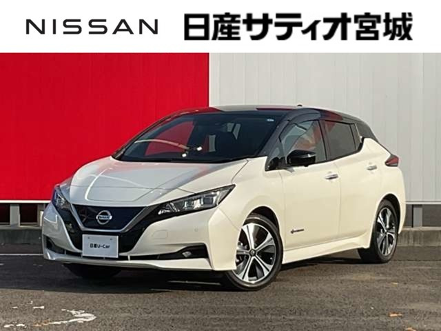 リーフ  X Vセレクション