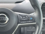 ♪右スイッチはプロパイロットも完備 ♪