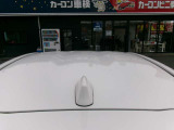 ルーフは建物が反射するくらい綺麗です。
