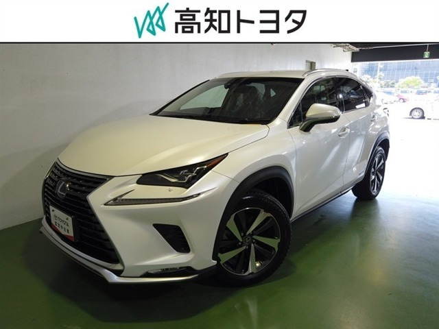NX 300h Iパッケージ 