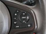 ◆アダプティブクルーズコントロール◆予め設定した車速内でクルマが自動的に加減速。前走車との適切な車間距離を維持しながら追従走行します。【LKAS】車線維持支援システムでステアリング操作を支援。