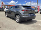 CX-30 2.0 20S 