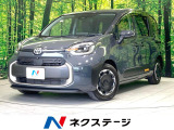 両側電動ドア 全周囲カメラ 100V電源 衝突被害軽減システム