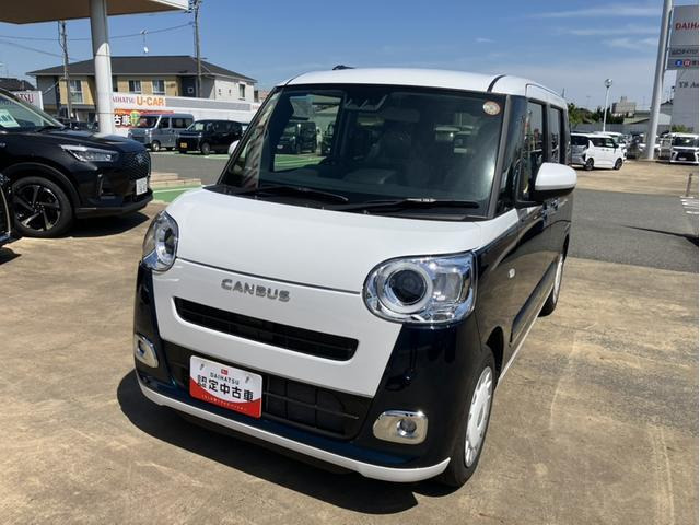 ムーヴキャンバス  ストライプス G