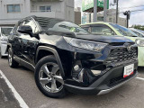 鋭く勢いのある目つきが印象的なデザインのヘッドランプです。