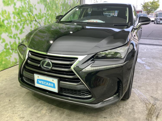 NX300h Iパッケージ