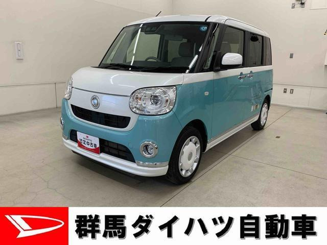 ムーヴキャンバス G メイクアップ SAIII