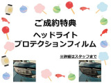500X  クロス