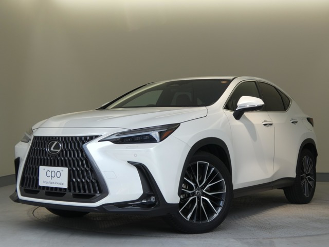 NX 250 バージョンL NX 250 バージョンL