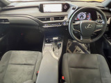 UX 250h 
