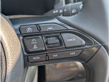 ステアリングスイッチ付きで、運転中に視線を前に向けたまま操作できます。