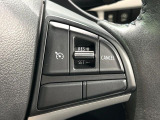 【クルーズコントロール】高速道路もラクラク走行。アクセルを離しても一定速度で走行ができ、長距離運転時の負担を軽減!加速・減速も簡単なスイッチ操作で調整できます。