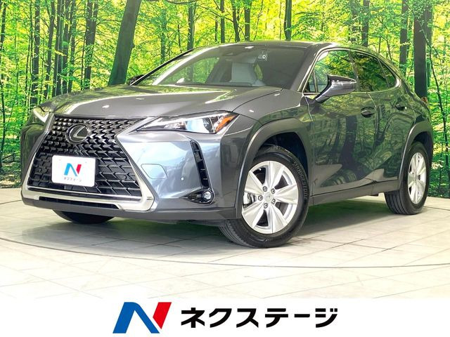 UX 250h バージョンC 