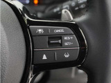 ◆アダプティブクルーズコントロール◆予め設定した車速内でクルマが自動的に加減速。前走車との適切な車間距離を維持しながら追従走行します。【LKAS】車線維持支援システムでステアリング操作を支援。