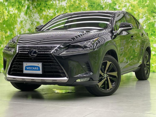 NX300h バージョンL