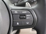 ◆アダプティブクルーズコントロール◆予め設定した車速内でクルマが自動的に加減速。前走車との適切な車間距離を維持しながら追従走行します。【LKAS】車線維持支援システムでステアリング操作を支援。